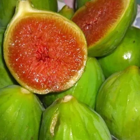 Ifioridisicilia Alojamento de Acomodação e Pequeno-almoço 2*