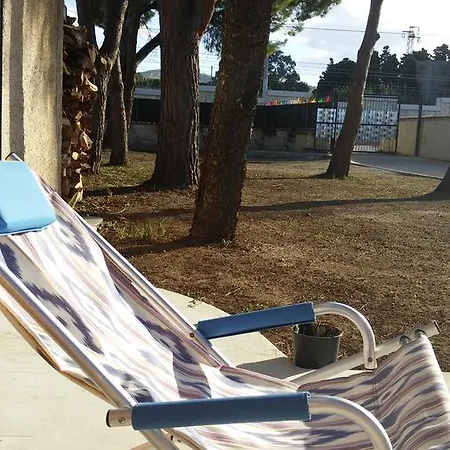 Ifioridisicilia Campofelice Di Roccella