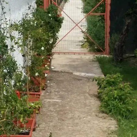 Ifioridisicilia Campofelice Di Roccella