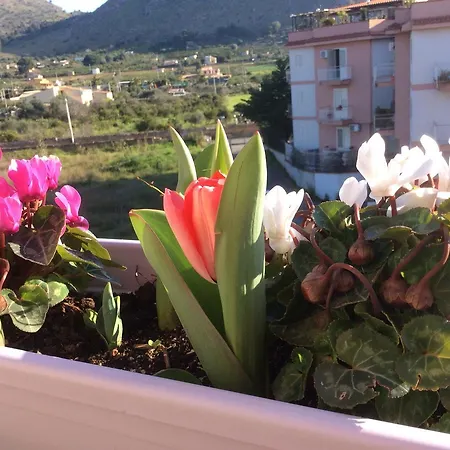 Ifioridisicilia Bed & Breakfast Campofelice Di Roccella
