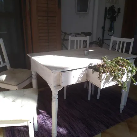 Ifioridisicilia Campofelice Di Roccella